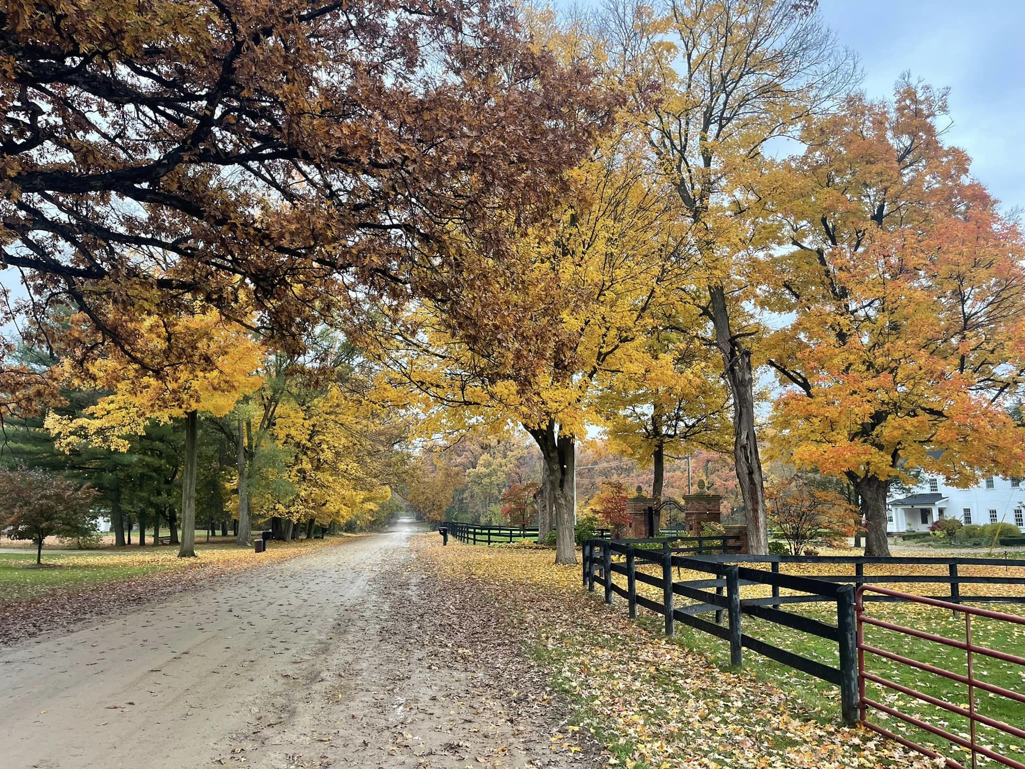 Planning Commission Meetings