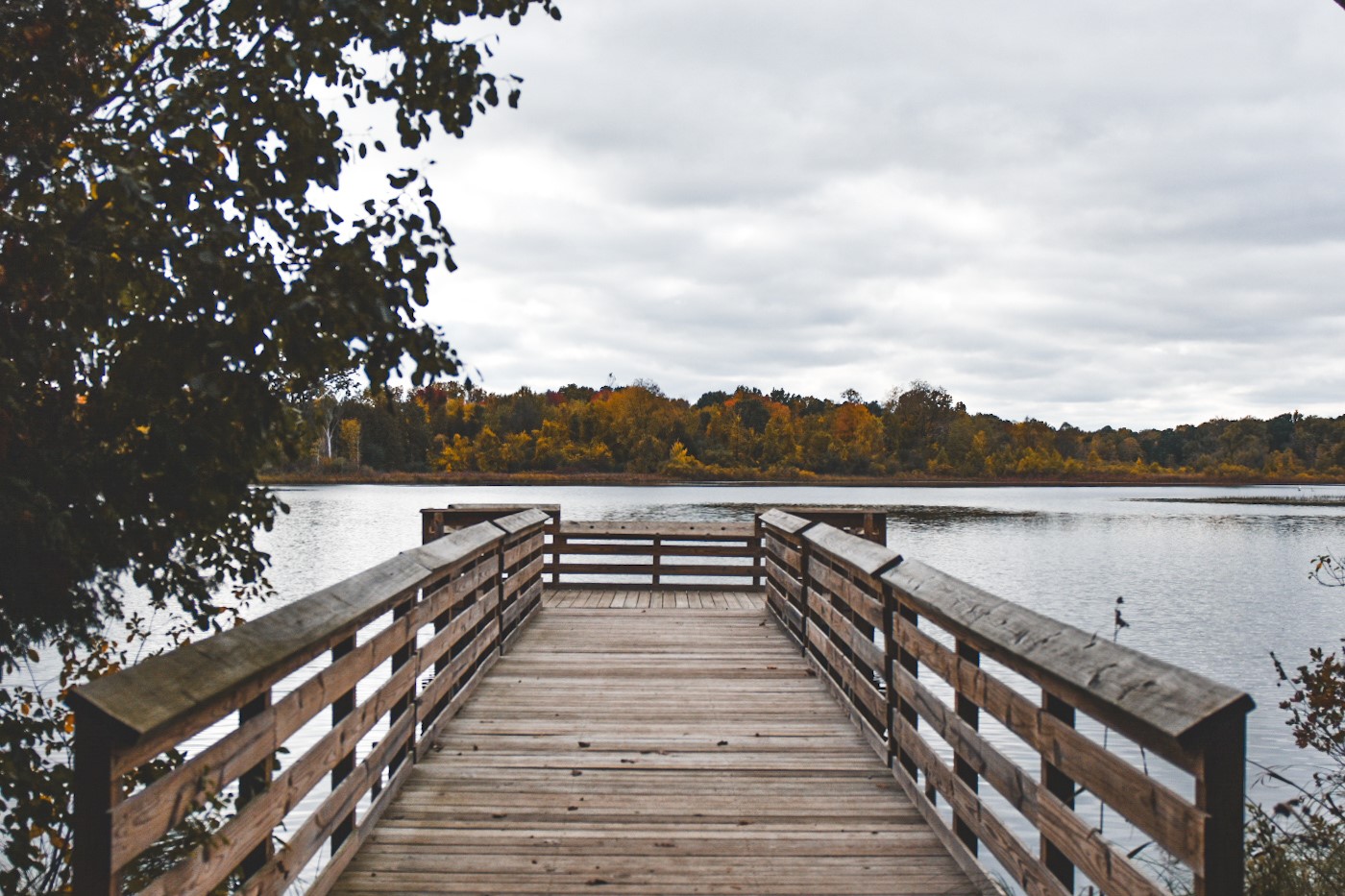 Zoning Board of Appeals Meetings